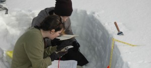 Pennask Summit Research with UBC Students